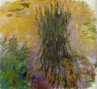 Monet, Claude Oscar - Water Lilies